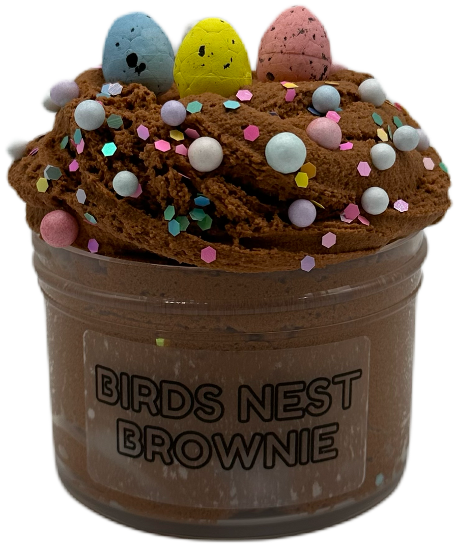 Birds Nest Brownie
