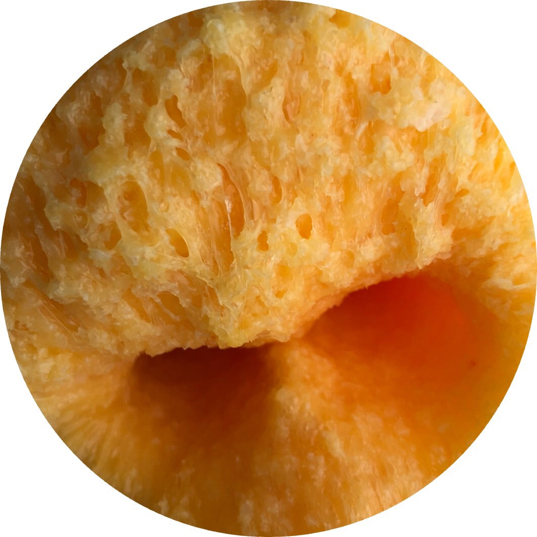 Freshly Squeezed Orange Juice